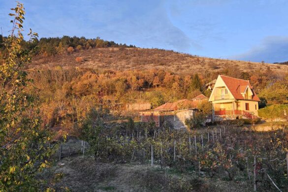 Sun Ano Vreme Uz Porast Temperature Pljuskovi Mogu E Krajem Nedelje