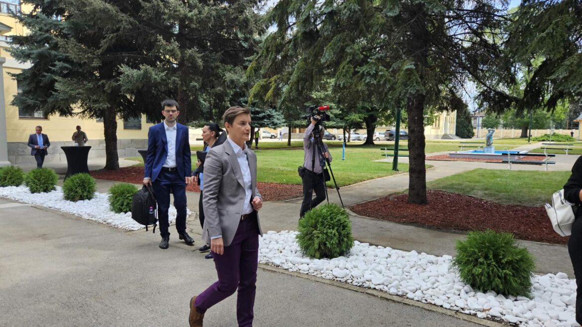 ana brnabic 6
