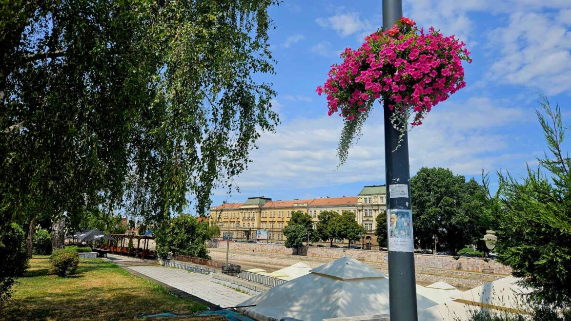 nis, vreme, centar, cvece 2
