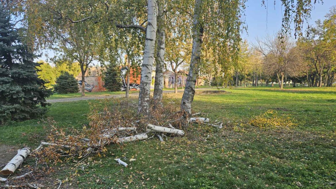 niska tvrdjava, jesen, vreme, drvo