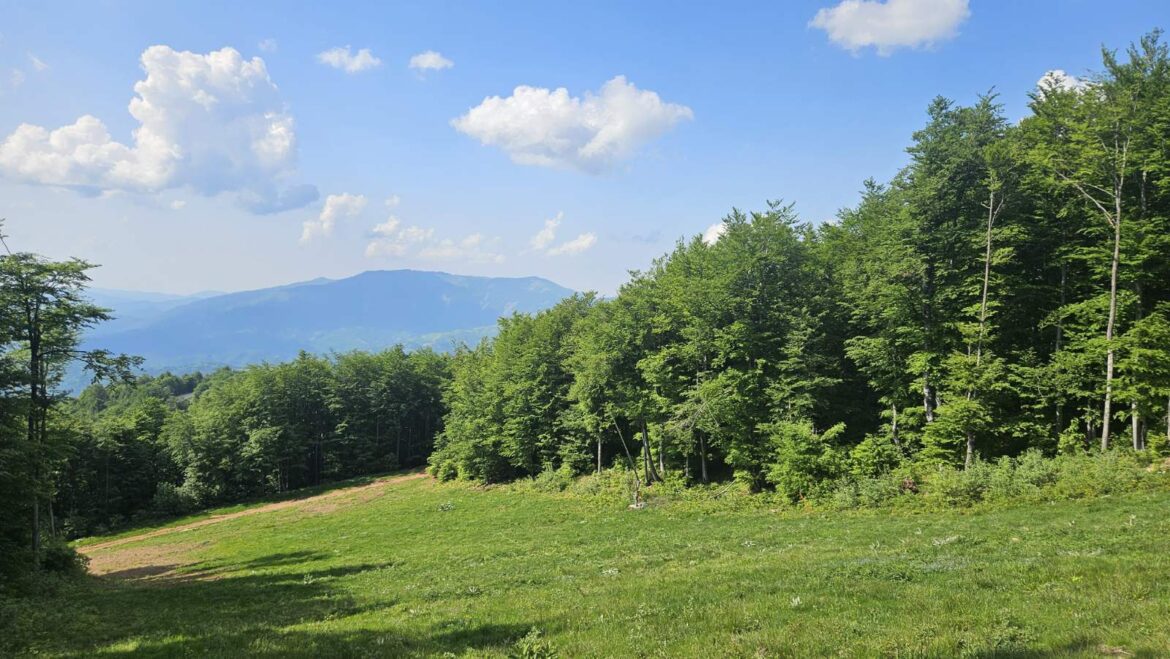 stara planina 1