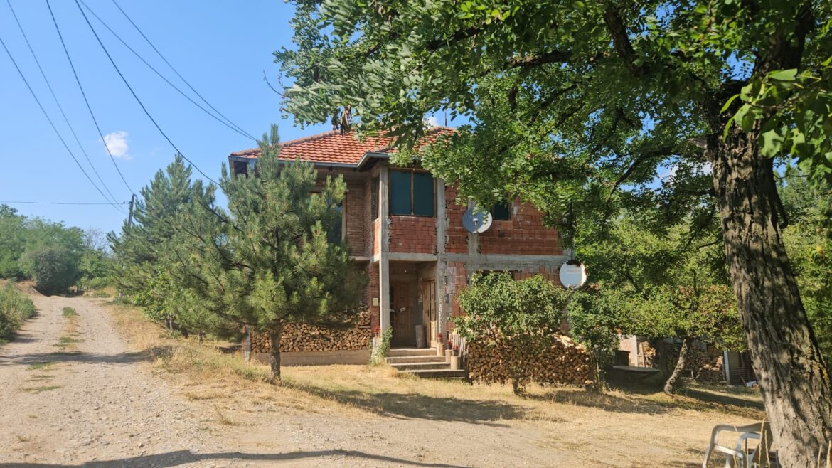 ubistvo nis